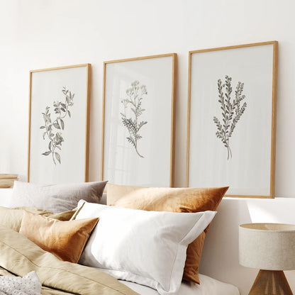 Vintage Home Decor. Botanical Wall Art Set by Sydney Parkinson