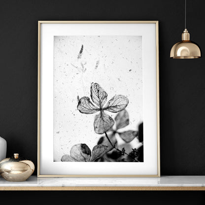 Greyscale Botanical Bedroom Wall Art Set of 3