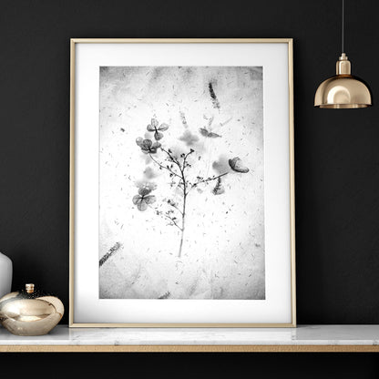Greyscale Botanical Bedroom Wall Art Set of 3